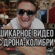 ШИКАРНОЕ видео с Дрона Колибри Кейси Найстат