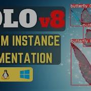 YOLOv8 Instance Segmentation On Custom Dataset Windows Linux