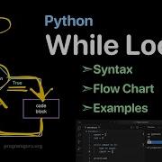 Python While Loop Flow Chart Syntax And Examples ProgramGuru