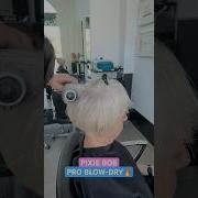 PIXIE BOB BLOW DRY Complete Tutorial Linked Below
