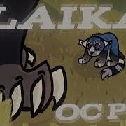 Laika Oc Pmv