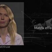 Matrix Effect