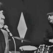 Beau Brummels Laugh Laugh