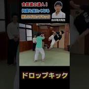 Beautiful Drop Kick By Aikido Master