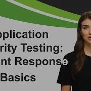 Application Security Testing Incident Response Basics