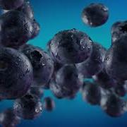 Crunchies Frozen Blueberries 2D Product Animation Anagine