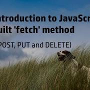 How To Use Fetch In JavaScript GET POST PUT And DELETE Requests