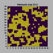 Ising Model Simulation Using Metropolis Monte Carlo