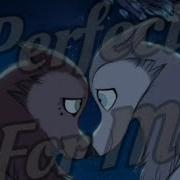 New Wolfwalkers Amv
