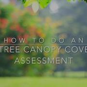 How To Do An I Tree Canopy Cover Assessment In The UK