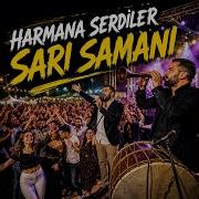 Harmana Serdiler Sarı Samanı