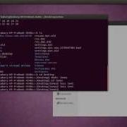 Linux Command Line Basics Part 4