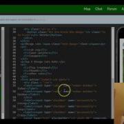 Responsively Style Radio Buttons FreeCodeCamp Bootstrap Review Lesson 15