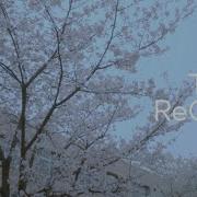 TRUE ReCoda Music Video TVアニメ 響け ユーフォニアム３ OP主題歌