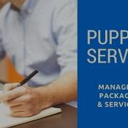 Puppet Server Managing Packages And Services