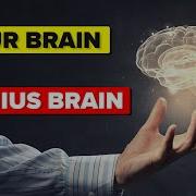 Your Brain Vs Genius Brain How Do They Compare