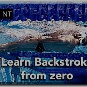 5 Skills To Learn The Basics Of Backstroke