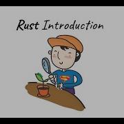 Rust For Beginners Lesson 2 Variables Mutability Shadowing