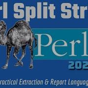 Perl Programming Tutorial Split Strings 2024
