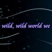 Wild Wild World Set It Off Lyrics
