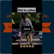 Programming Languages Memes Plz Wait For Python Turn Lets Have A Fun Shorts Coding Programming