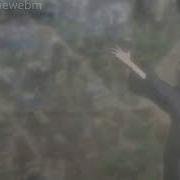Anime Webm Naruto