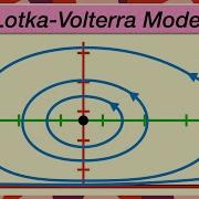 Predator Prey Population Models Lotka Volterra Equations
