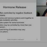 Baker Pathophysiology Module 2 Chapter 16 Endocrine System D