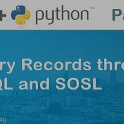 Salesforce AP In Python Query Records