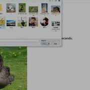 Image Classification Website Demo