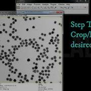 ImageJ Tutorial How To Analyse Microstructure Using ImageJ