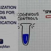 Normalization Methods Of MiRNA Quantification Ask TaqMan 40