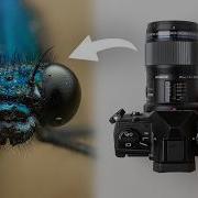 Small Light Powerful Macro Photography Setup OM 5 60mm