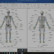 Visual 3D Tutorial 102 Building A Biomechanical Model