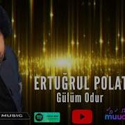 Ertuğrul Polat Gülüm Odur