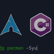 Arch C Исправление ошибки Pacman существует в пути к файлу