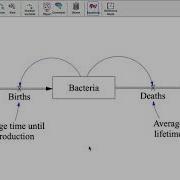 SOS212 Units In Vensim Unit Synonyms And Checking Units