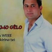 Memo Gelo Hezkırına Te