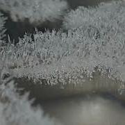 Macro Timelapse Of Water Vapor Deposition To Ice Crystals 16x And Melting 2x
