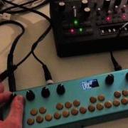 Korg Monotribe Meets Organelle With Reverb Patch