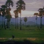 The Killing Fields Trailer 1