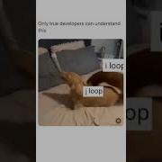 Loop For Two Dimensional Array In Short Video Developer Programming Coding Javascript Python