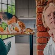 ЧТО ДЕЛАЮТ МОИ ЖИВОТНЫЕ КОГДА МЕНЯ НЕТ ДОМА