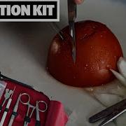 Complete Dissection Kit For Biology Labes Great Quality