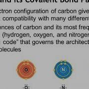 Chapter 4 Carbon And The Molecular Diversity Of Life