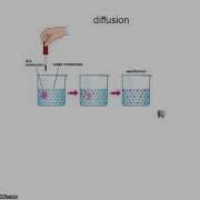 Biologie Physio Introduction à L Osmose Et La Diffusion