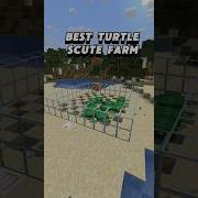 Best Turtle Scute Farm In Minecraft Minecraft Survival Minecraftfarms