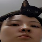 Cats Doing Goblin Activities