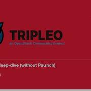 TripleO Deep Dive 14 TripleO Containers Deep Dive Without Paunch
