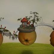 Ant Animanimals AnT Ant 2020 Pets And Animals Alvha TV